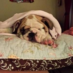 Meet your Posher, Jaime